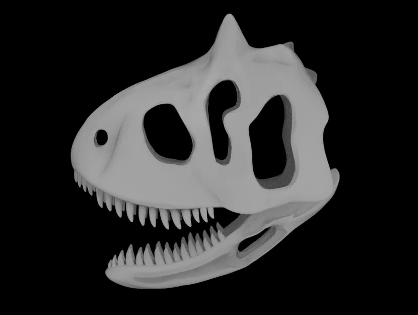 Mô hình Sọ khủng long Carnotaurus - Image 3