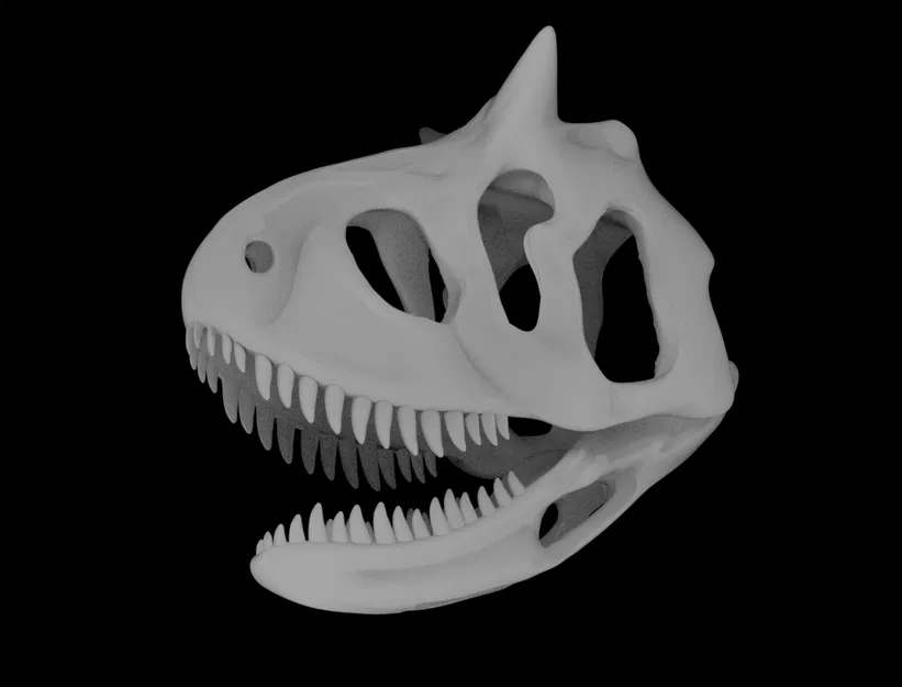 Mô hình Sọ khủng long Carnotaurus - Image 4