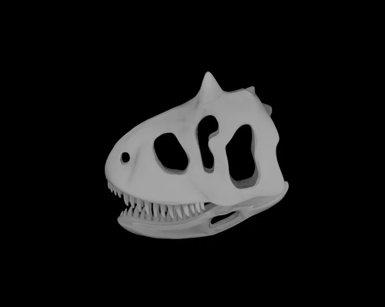 Mô hình Sọ khủng long Carnotaurus - Image 5