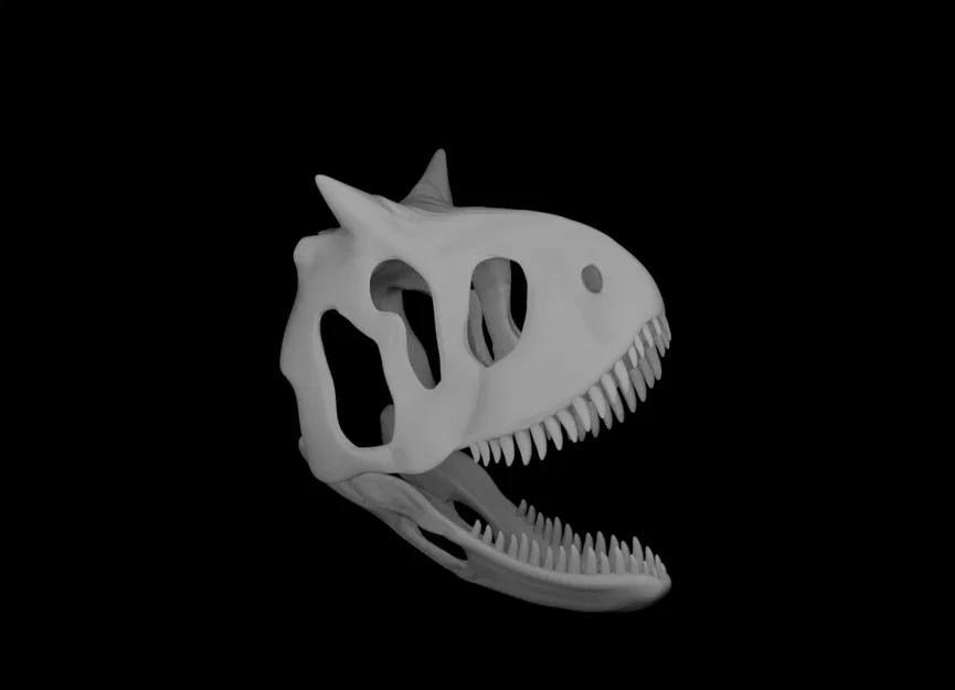 Mô hình Sọ khủng long Carnotaurus - Image 6