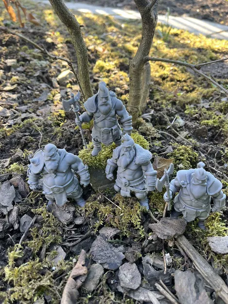 Dwarf warriors - Chiến binh lùn - Image 6