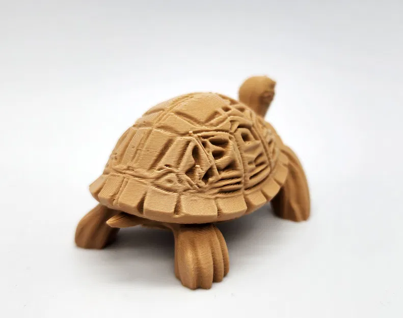 Rùa Gỗ Chạm Khắc - Image 6