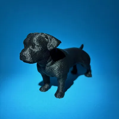 Mô hình chú chó Amstaff nhỏ xinh trang trí in 3D