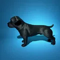 Mô hình chú chó Amstaff nhỏ xinh trang trí in 3D - Thumbnail 4