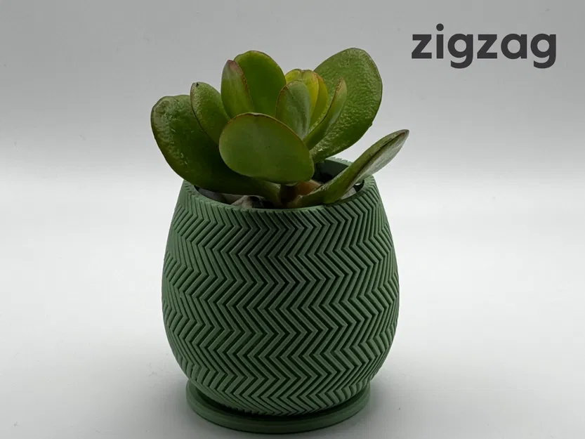 Bộ sưu tập 6 chậu cây họa tiết trang trí đẹp mắt - Image 5