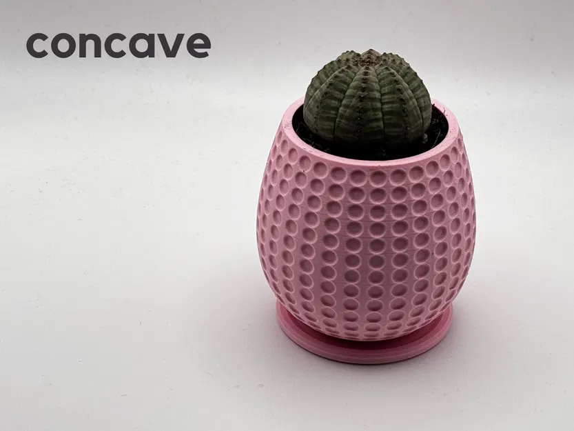 Bộ sưu tập 6 chậu cây họa tiết trang trí đẹp mắt - Image 7