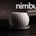 nimbus · chậu cây - Thumbnail 1