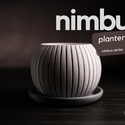 nimbus · chậu cây