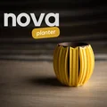 nova · chậu cây cảnh - Thumbnail 1