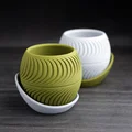 Chậu cây họa tiết lát cắt (sliced planter) · kèm đĩa hứng wrap-around - Thumbnail 2