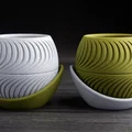 Chậu cây họa tiết lát cắt (sliced planter) · kèm đĩa hứng wrap-around - Thumbnail 6