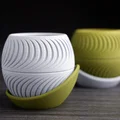Chậu cây họa tiết lát cắt (sliced planter) · kèm đĩa hứng wrap-around - Thumbnail 7
