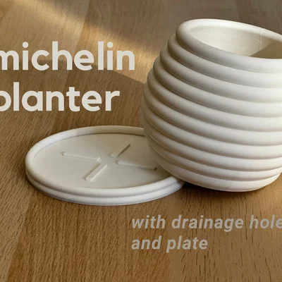 Chậu trồng cây phong cách Michelin độc đáo