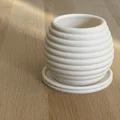 Chậu trồng cây phong cách Michelin độc đáo - Thumbnail 2