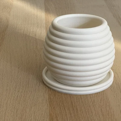 Chậu trồng cây phong cách Michelin độc đáo