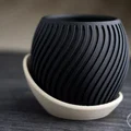Chậu cây gợn sóng kèm đĩa hứng nước - Thumbnail 2