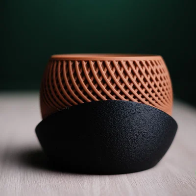 drift · chậu cây tối giản
