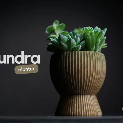 tundra · chậu cây cảnh
