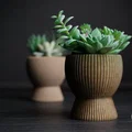 tundra · chậu cây cảnh - Thumbnail 2