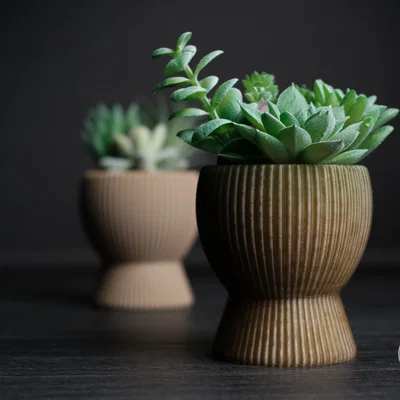 tundra · chậu cây cảnh