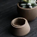 tundra · chậu cây cảnh - Thumbnail 4