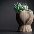 tundra · chậu cây cảnh - Thumbnail 5