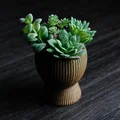 tundra · chậu cây cảnh - Thumbnail 7