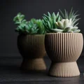 tundra · chậu cây cảnh - Thumbnail 8