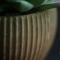 tundra · chậu cây cảnh - Thumbnail 9