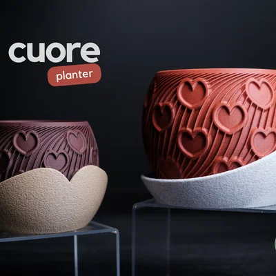 cuore · planter - Chậu cây trái tim cho ngày Valentine