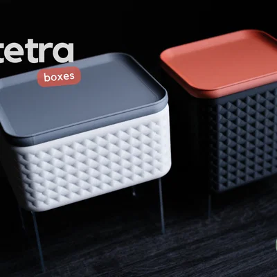tetra · boxes: Bộ hộp lưu trữ tối giản hiện đại