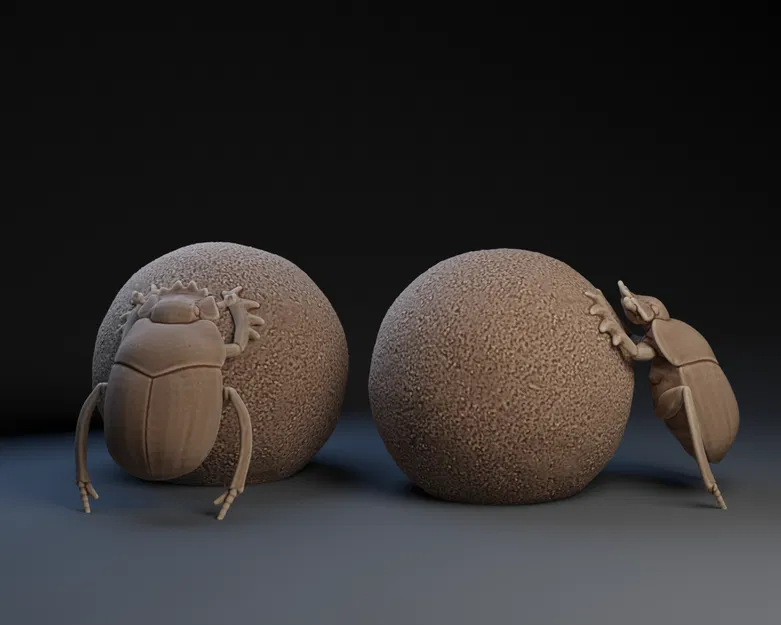 Mô hình Bọ Hung (Dung Beetle) - Image 1