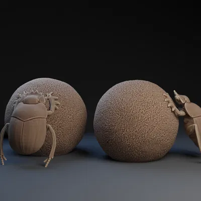 Mô hình Bọ Hung (Dung Beetle)