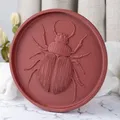 Khay Hình Bọ Cánh Cứng - Beetle Tray - Thumbnail 2