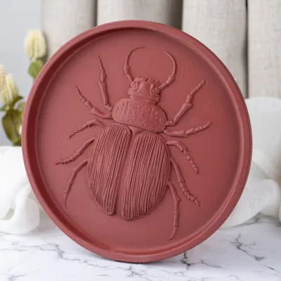 Khay Hình Bọ Cánh Cứng - Beetle Tray
