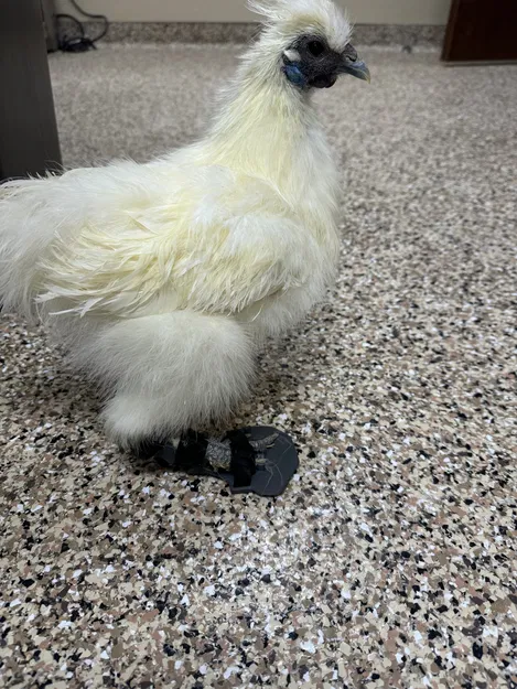 Nẹp Hỗ Trợ Chân Gà (Chicken Leg Brace) – Giải Pháp Hỗ Trợ Di Chuyển - Image 3