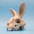 Mô hình Sọ Thỏ - Tai Hướng Về Phía Trước - Thumbnail 3