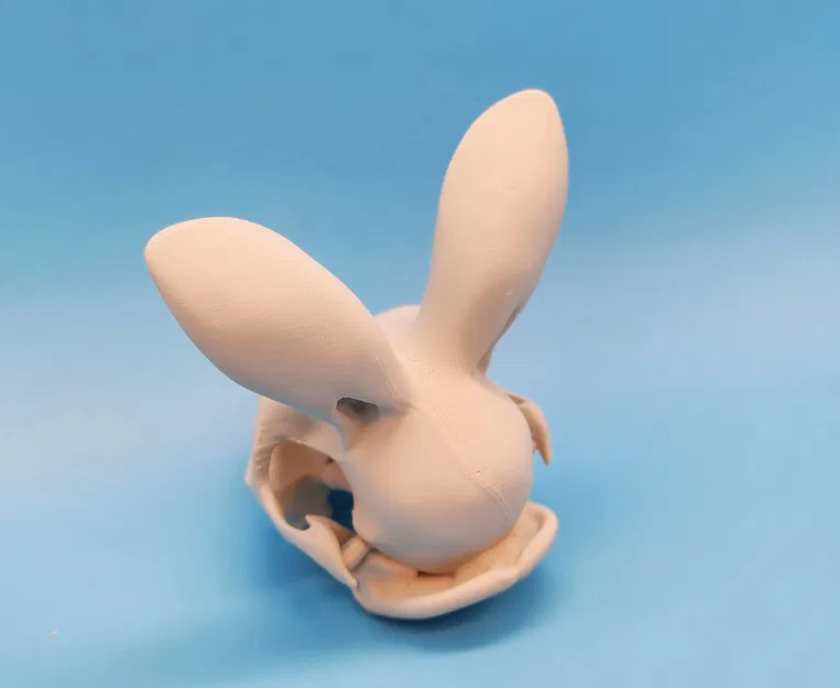 Mô hình Sọ Thỏ - Tai Hướng Về Phía Trước - Image 4