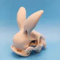 Mô hình Sọ Thỏ - Tai Hướng Về Phía Trước - Thumbnail 6