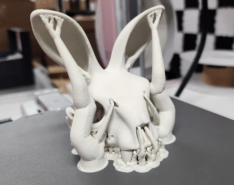 Mô hình Sọ Thỏ - Tai Hướng Về Phía Trước - Image 8