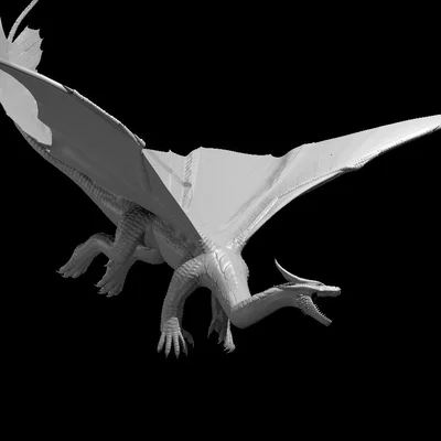 Rồng Đồng 2025 (Copper Dragon 2025)