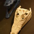 Hộp sọ cá sấu | Siêu thực tế - Thumbnail 6