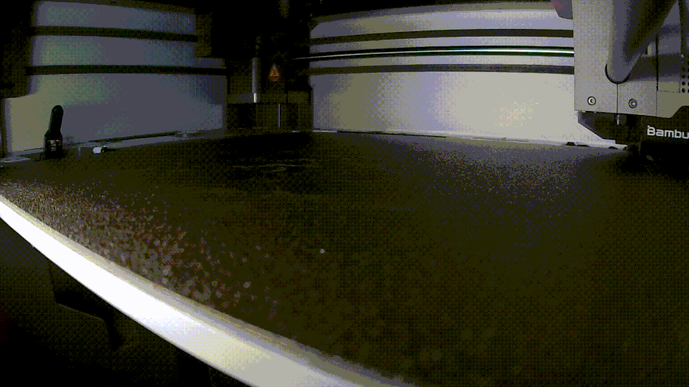 Hộp sọ cá sấu | Siêu thực tế - Thumbnail 7