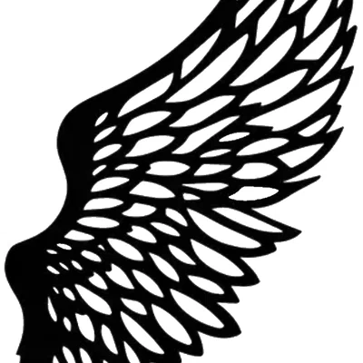 Mô hình đôi cánh thiên thần 3D decor tường độc đáo và tinh tế