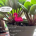 Mô hình Hồng hạc Mini (Miniature Flamingo) - Thumbnail 2