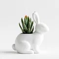 Chậu Cây Hình Thỏ Đáng Yêu – Lọ Hoa & Chậu Trang Trí Độc Đáo - Thumbnail 1