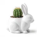 Rabbit Pot – Chậu Cây Kiểng Phong Cách - Thumbnail 1