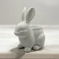 Rabbit Pot – Chậu Cây Kiểng Phong Cách - Thumbnail 2