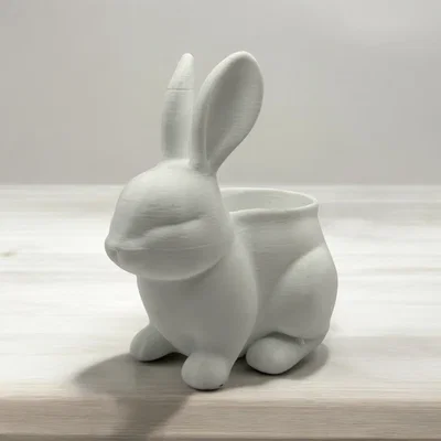 Rabbit Pot – Chậu Cây Kiểng Phong Cách