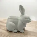 Rabbit Pot – Chậu Cây Kiểng Phong Cách - Thumbnail 3